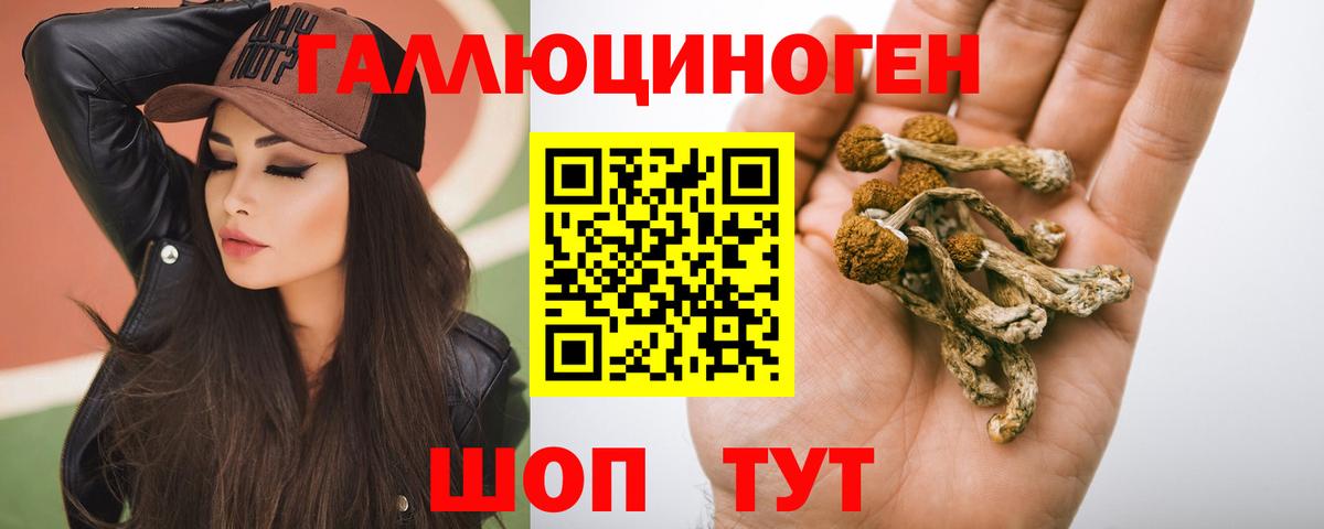 Галлюциногенные грибы Psilocybe Ипатово